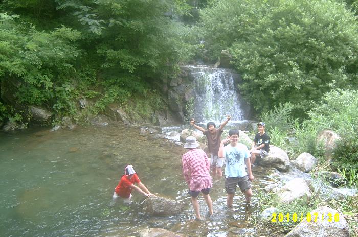 m001.JPG