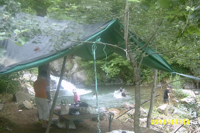m005.JPG