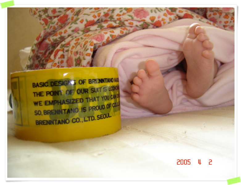 ./files/attach/images/198/1698/resize_DSC01600.JPG